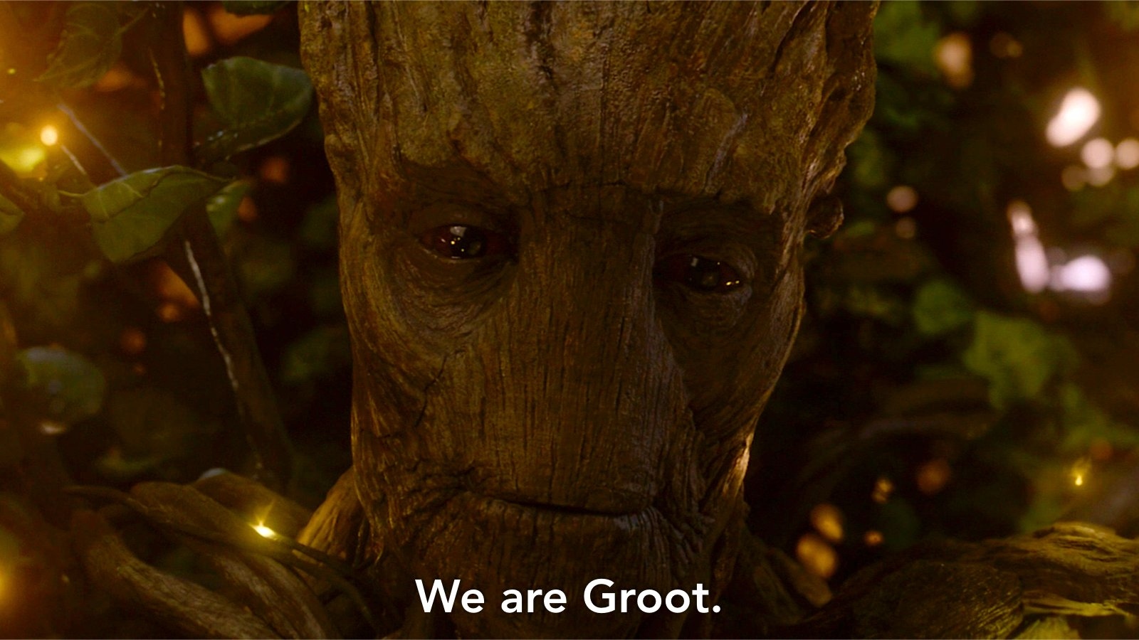 we are groot