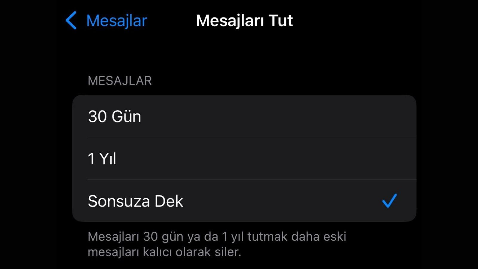 iPhone’da Depolama Alanı Açmanın 8 Kolay Yolu iphoneda depolama alani acmanin 8 kolay yolu 1 biCeJ828