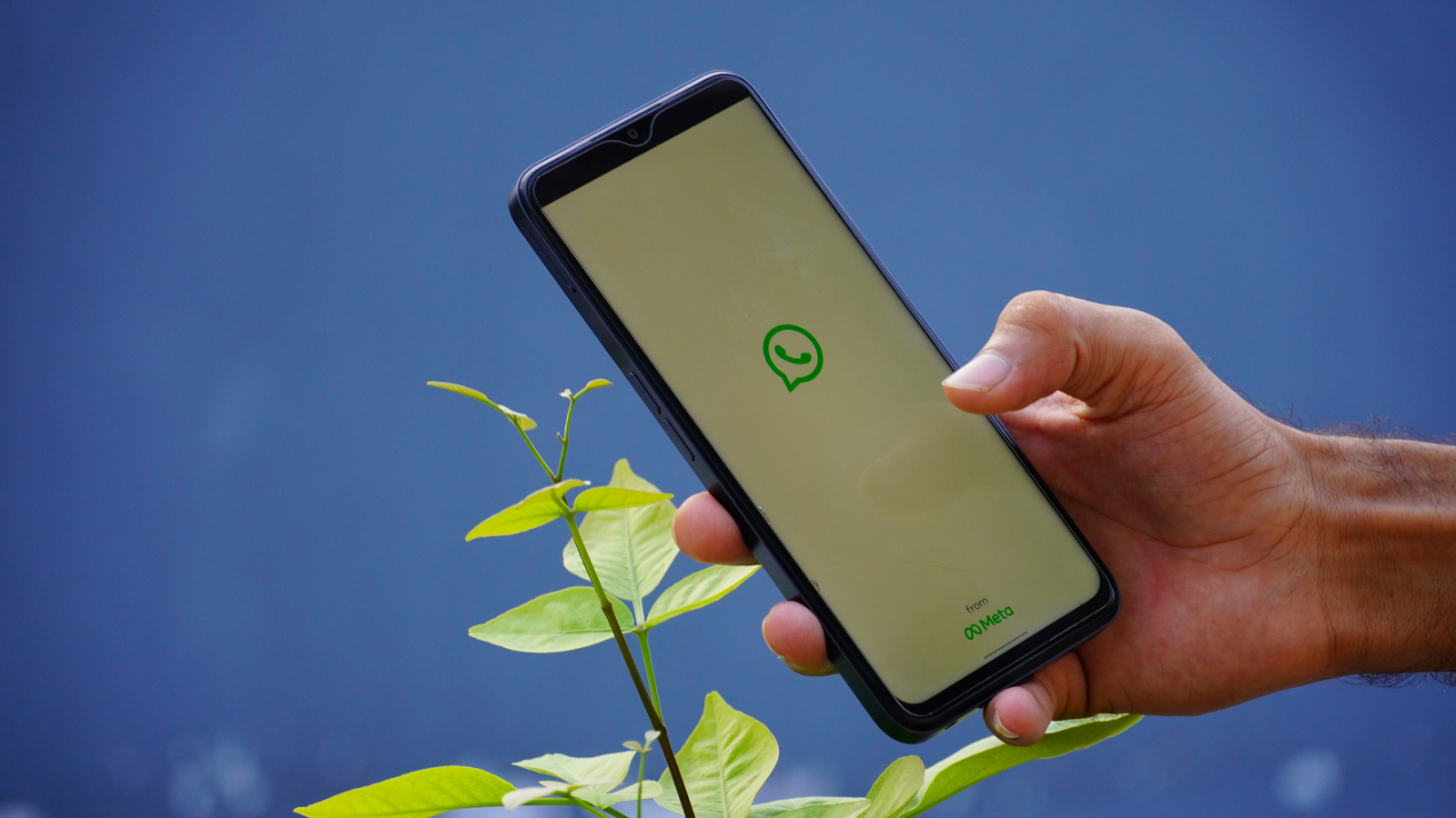 ChatGPT Görsel Oluşturma Özelliği Artık WhatsApp İle Kullanılabilecek chatgpt gorsel olusturma ozelligi artik whatsapp ile kullanilabilecek 1 auNGPFRq