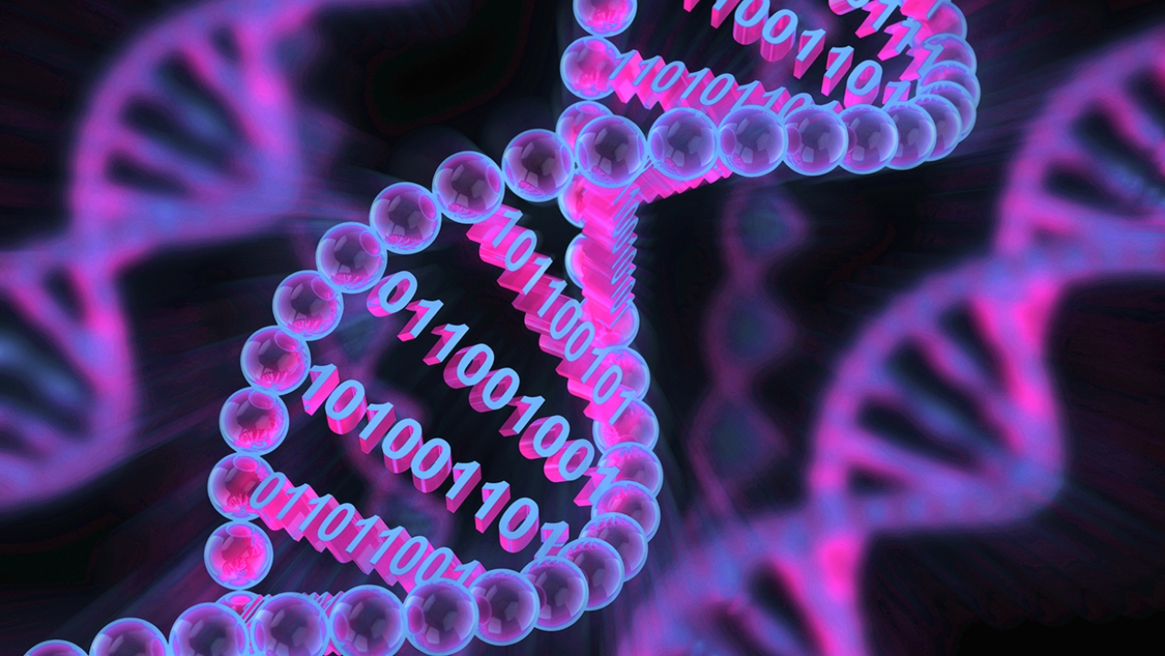 genetik teknolojinin sira disi 10 kullanimi 1 a5EAsVQd