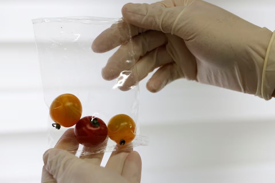Plastik atık krizine yeni tahlil: Deniz suyunda süratlice eriyen yeni jenerasyon plastik plastik atik krizine yeni tahlil deniz suyunda suratlice eriyen yeni jenerasyon plastik 1 I824NhKE
