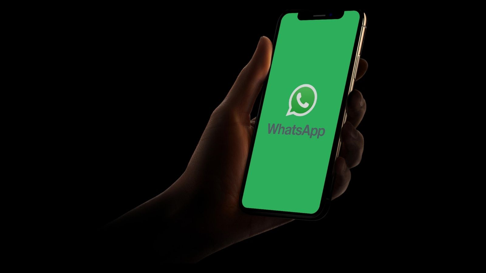 WhatsApp Temaları Genişliyor: 18 Yeni Renk Seçeneği Geliyor whatsapp temalari genisliyor 18 yeni renk secenegi geliyor 0 lkY9yRYF