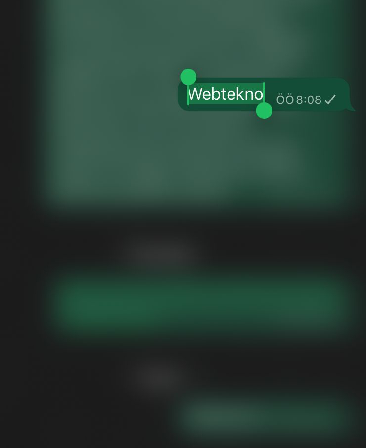 whatsappin iphone uygulamasina bugune kadar neden yoktu ki diyeceginiz bir ozellik geldi 0 ZqlyunMT