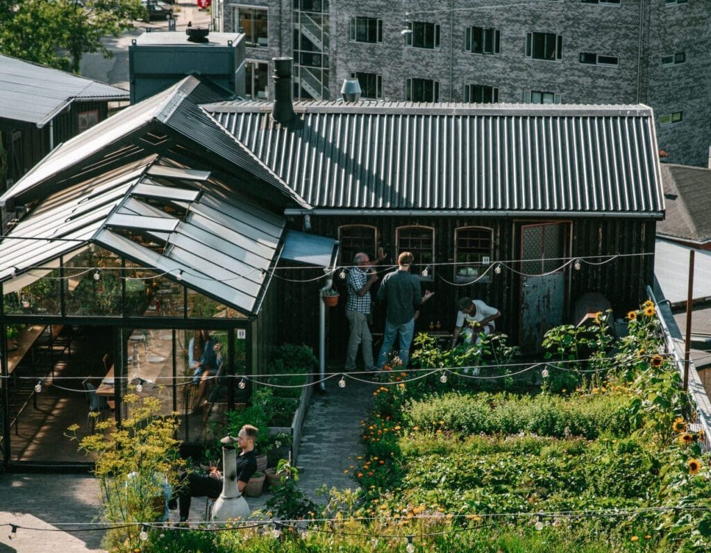 Kopenhag'ın çatı çiftlikleri, kent ömrüne ütopik bir dokunuş getiriyor kopenhagin cati ciftlikleri kent omrune utopik bir dokunus getiriyor 0 nfgy4Dg3